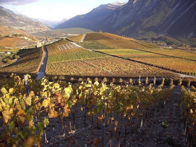 Automne en Valais