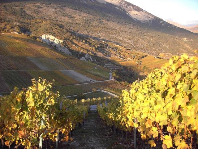 Automne en Valais